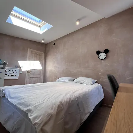House In Kalamaja With Wood Heating Sauna Tallinn