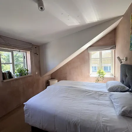 House In Kalamaja With Wood Heating Sauna Apartman Tallinn