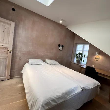 House In Kalamaja With Wood Heating Sauna Apartman